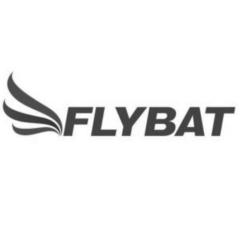 Logo Flybat